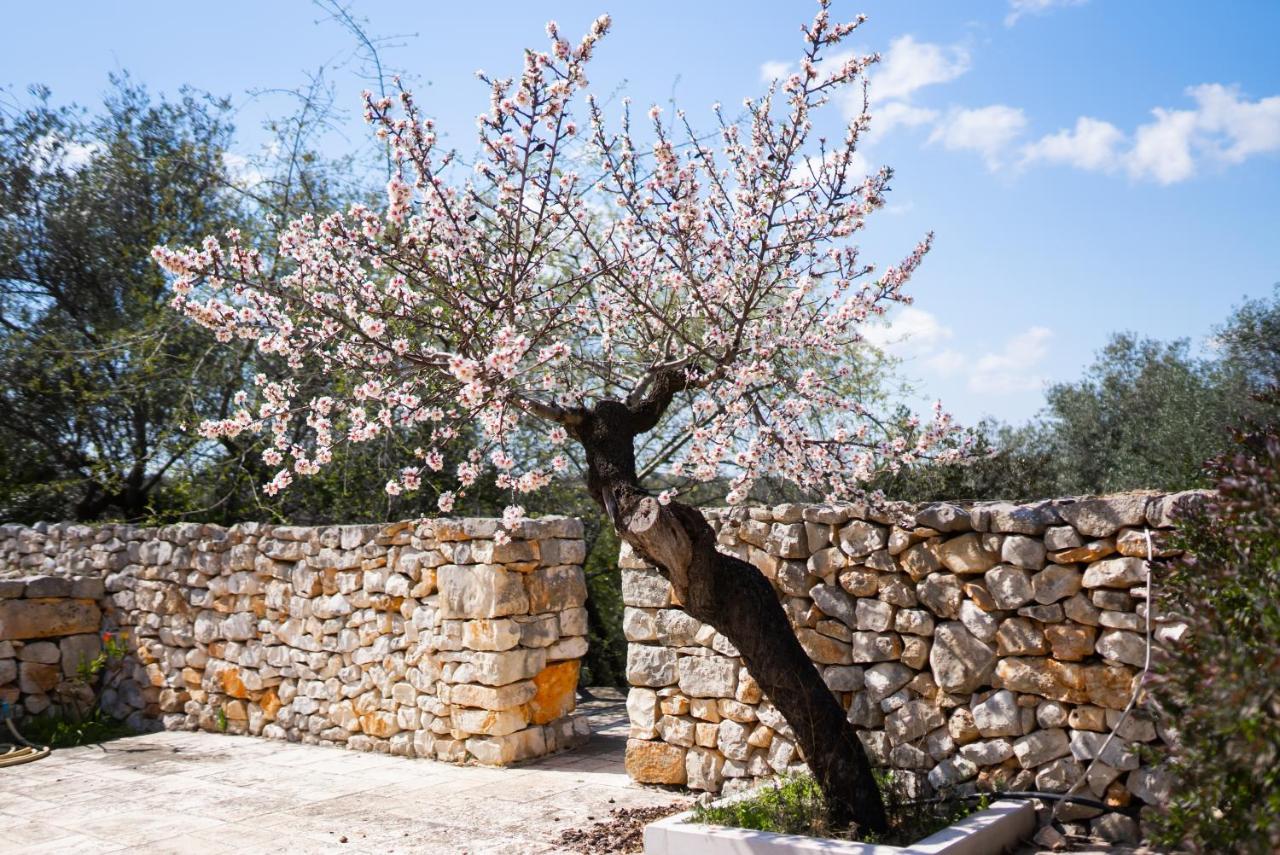 קונברסאנו Masseria Montepaolo Dimora Di Charme מראה חיצוני תמונה