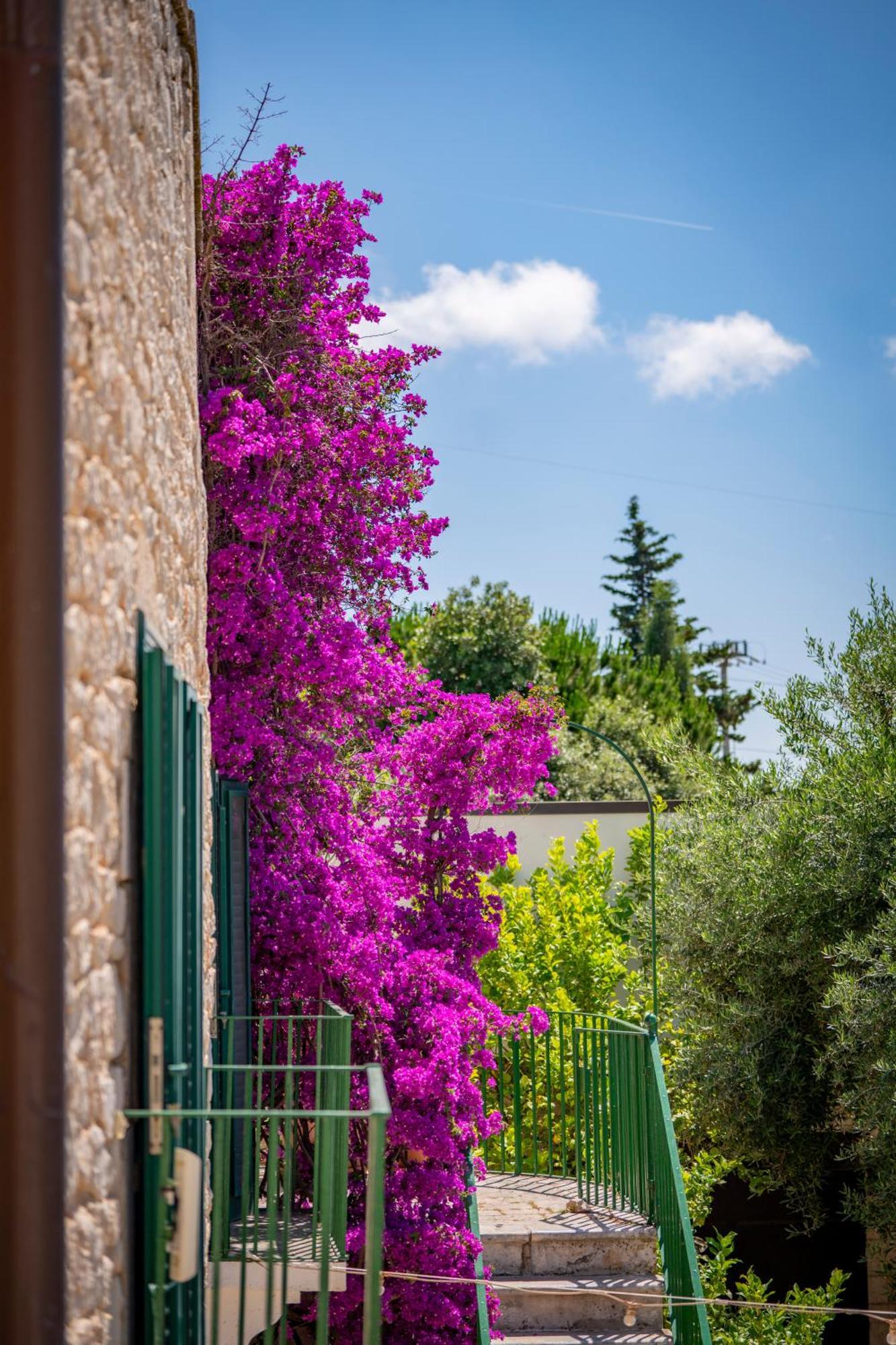 קונברסאנו Masseria Montepaolo Dimora Di Charme מראה חיצוני תמונה